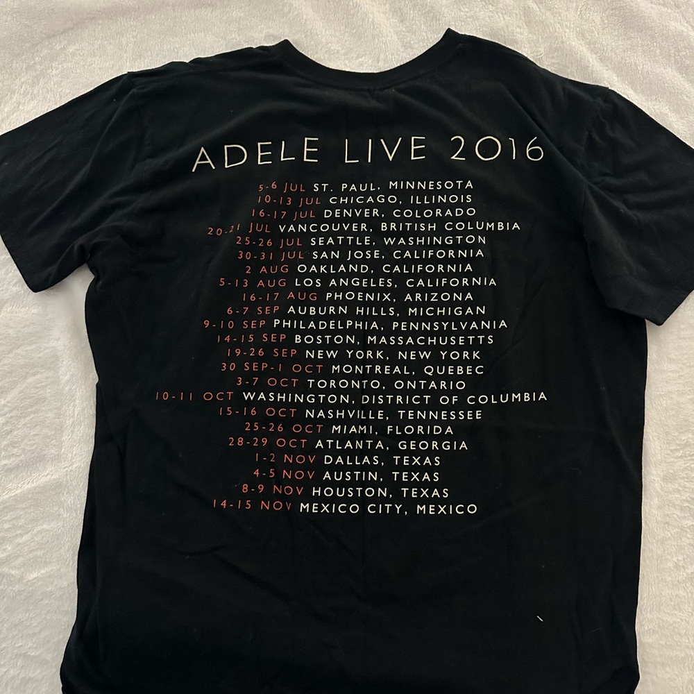 Adele Concert - image 2